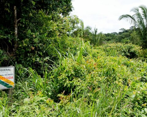 BNDES evaluates environmental concession with payment for conservation