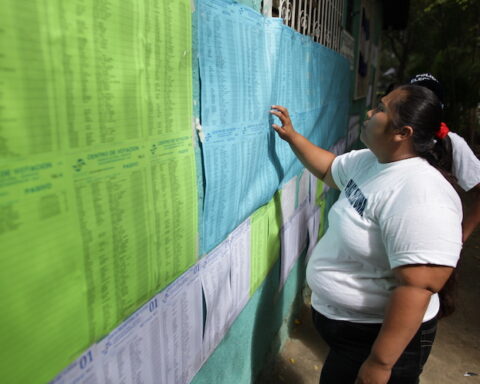 CSE removed 755,000 citizens from the electoral roll