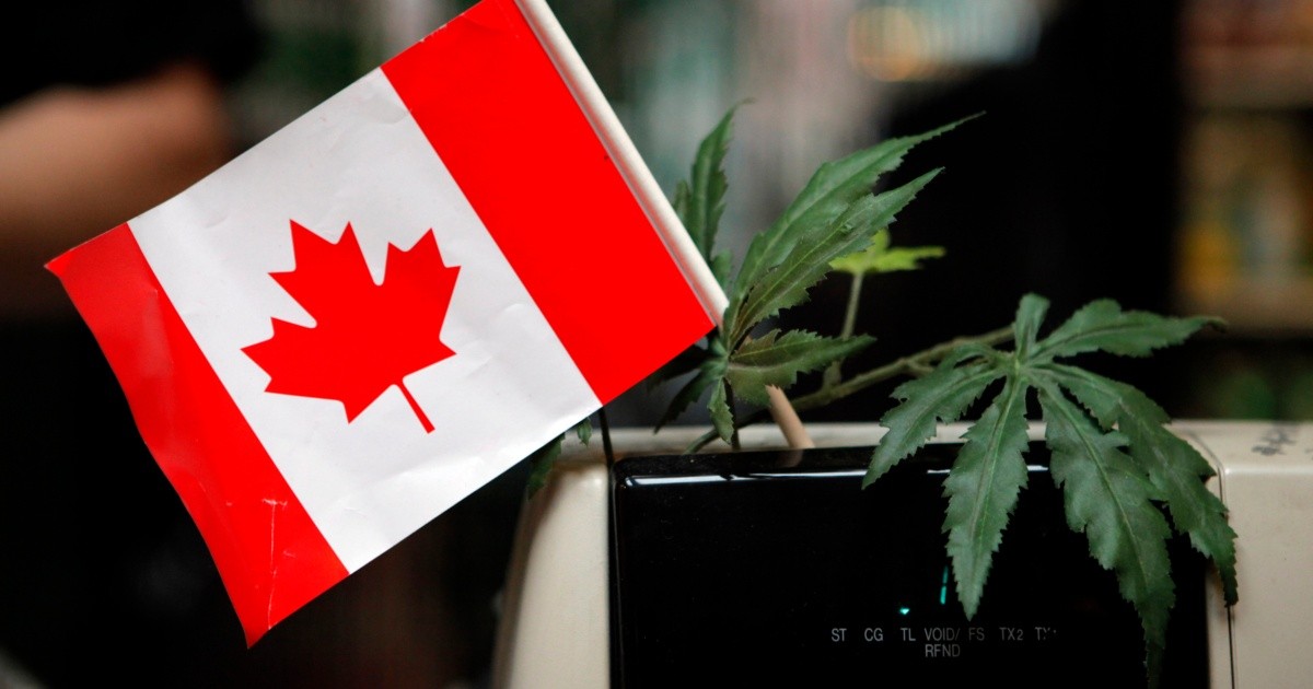Canada Begins Review of Its Marijuana Regulations