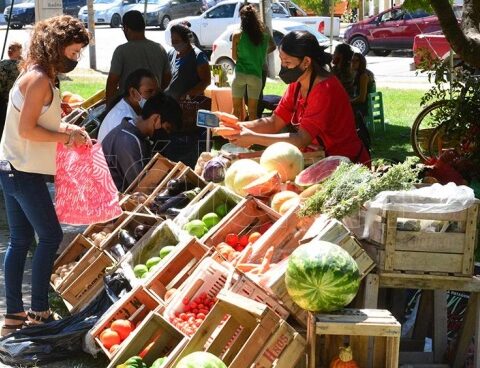 Celebrate International Food Waste Awareness Day