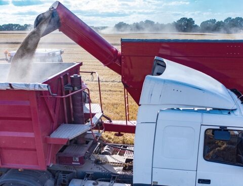 Cereal exporters highlighted the new system announced by Massa