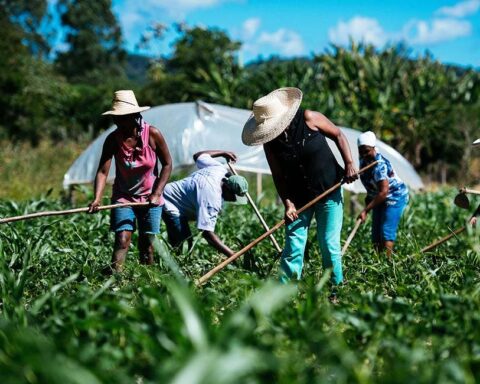Cambio climático y poco financiamiento amenazan la agricultura familiar