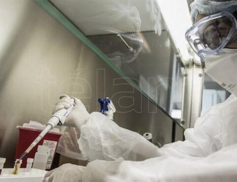 Clinical trials of a monkeypox vaccine begin in the US