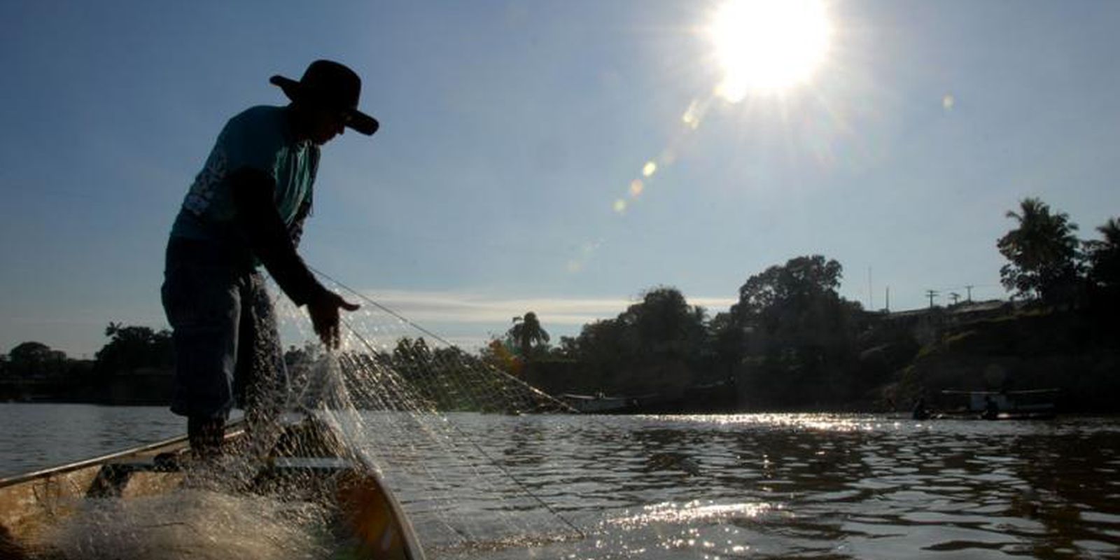 Closed season for grouper, potato fish and piramutaba comes into effect