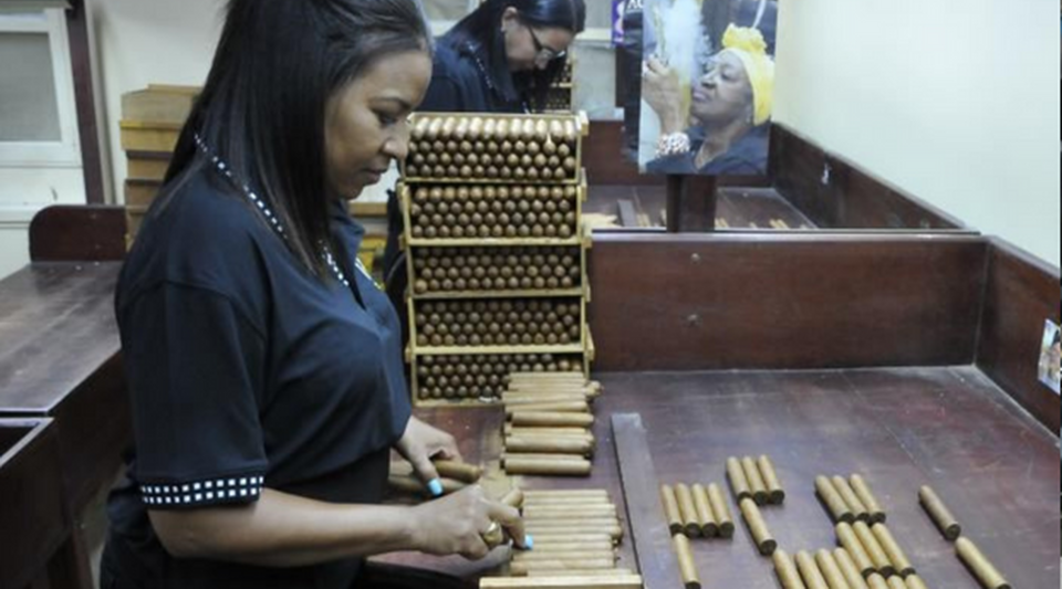 Cohiba's goal of 2 million in 2022 recalls the failure of the 10 million harvest in Cuba