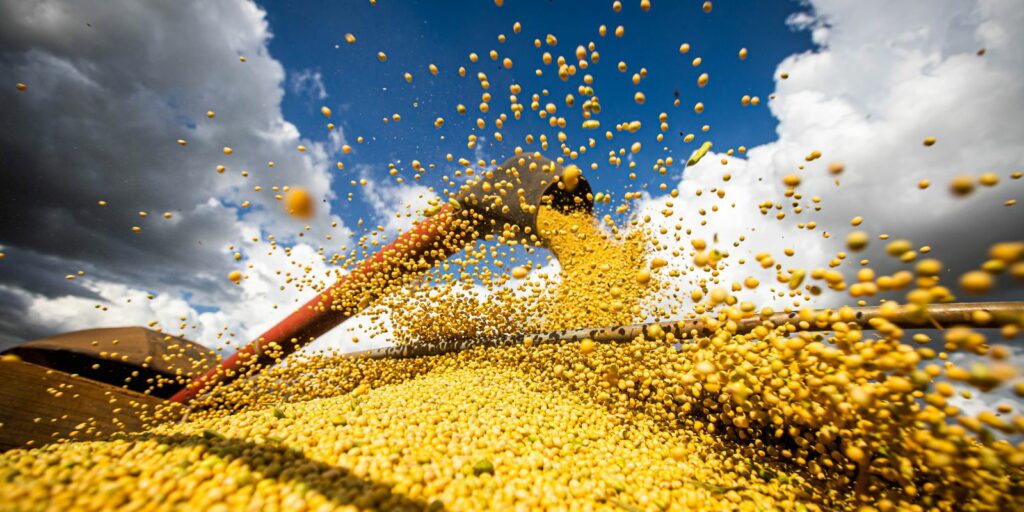 Conab predicts grain harvest of over 271 million tons