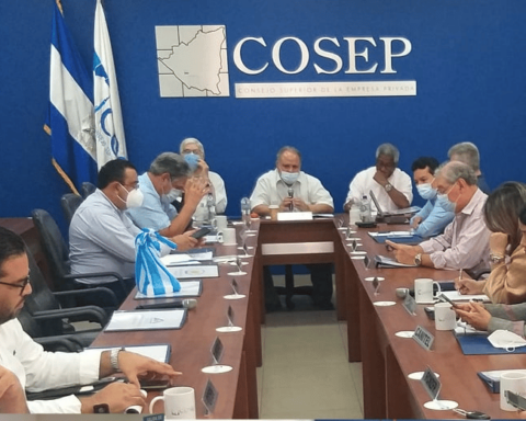 Cosep re-elects Healy as president and Zamora, as vice, continues in office