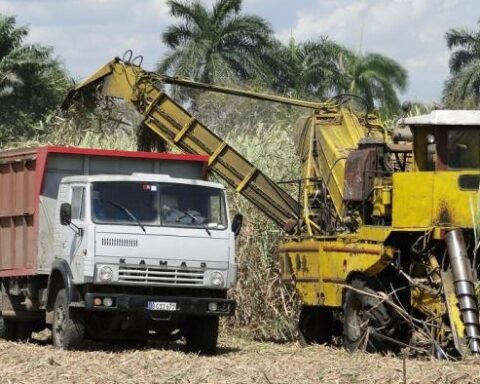 zafra azucarera Cuba