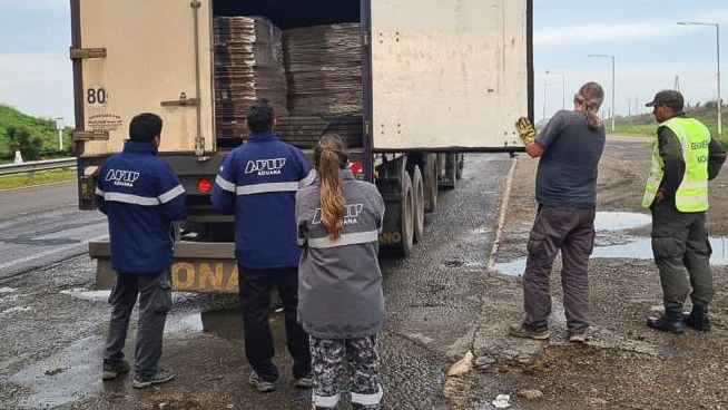 Customs seized merchandise worth more than $37 million