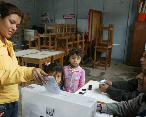 Datum: Bruce, Sifuentes, Zurek and Bazán lead the polls in four districts