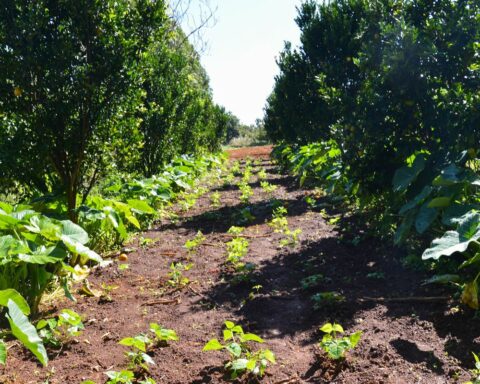 Deadline for submission of ITR declaration ends this Friday