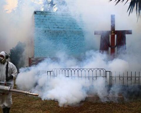 Dengue in Peru: Minsa launches epidemiological alert in the face of 75 deaths and 58,000 cases