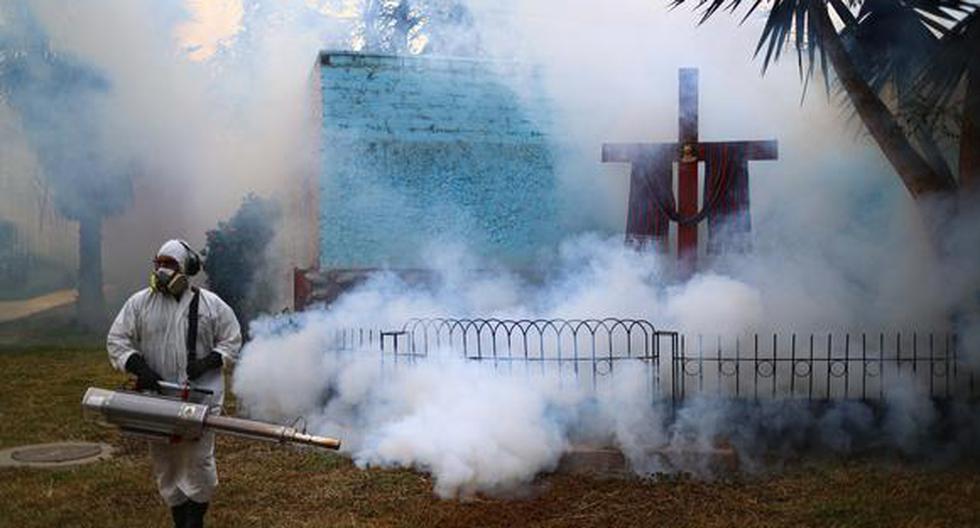 Dengue in Peru: Minsa launches epidemiological alert in the face of 75 deaths and 58,000 cases