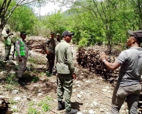 WhatsApp Image 2022 09 20 at 5.29.49 PM