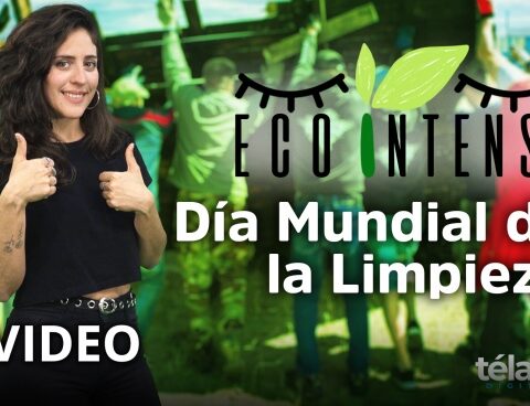 Ecointensa: World Cleanup Day