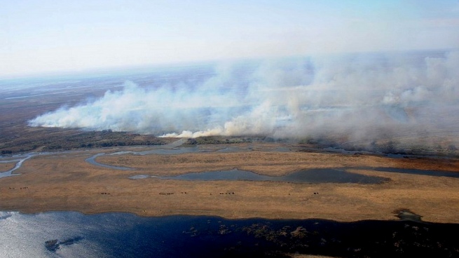 Eight provinces register active foci of forest fires