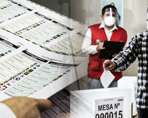 Elections 2022: this is the list of candidates for the municipal elections on October 2