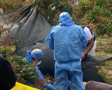 Femicide in Casma: corpse of councilor is found in a farm