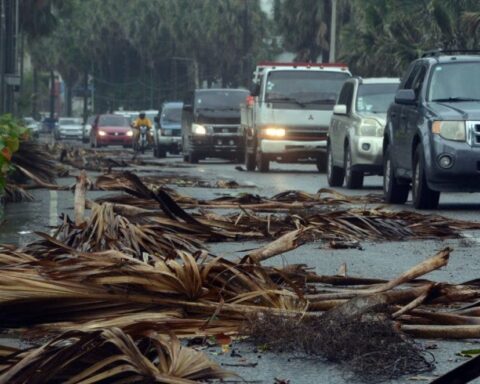 On the Malecón Last night the remnants of Fiona, whose winds had reached a speed of up to 140 kilometers per hour in the national territory, knocked down palm tree branches on the Santo Domingo boardwalk, which early this morning remained on George Washington Avenue, which It disrupted traffic on the road for hours, while municipal teams began cleaning.