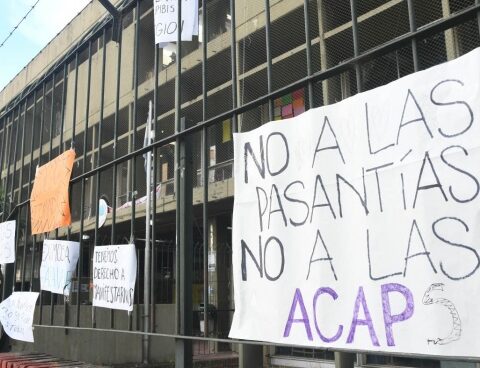 Five keys to understanding the ACAP internships that students reject