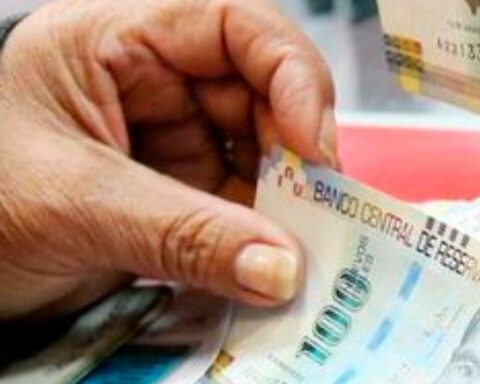 Food bonus: when will they give the subsidy of S / 270 and to whom