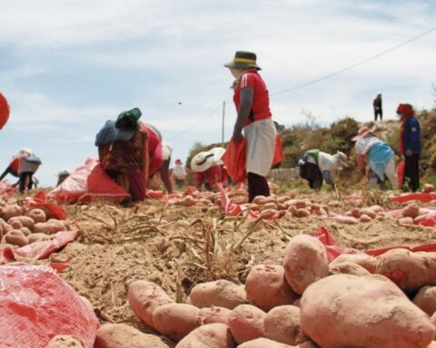 Food would rise in 2023 due to lack of urea