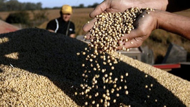 For businessmen and governors, the producer is "the big winner" with the soybean dollar