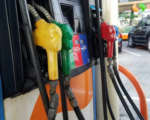 For fuels, the subsidy absorbs RD$28,879 million