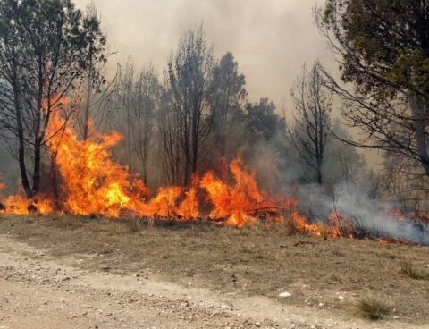 Forest fires continue to punish the Punilla de Córdoba valley