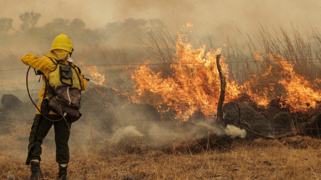 Forest fires reported in six provinces