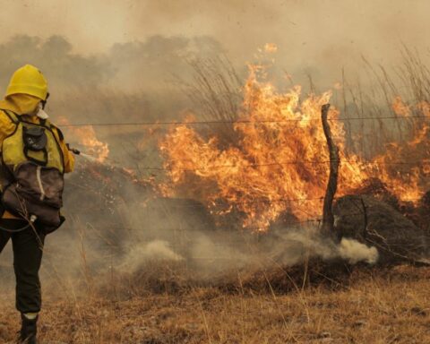 Forest fires reported in six provinces