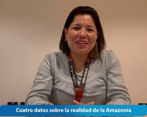 Four facts about the reality of the Amazon