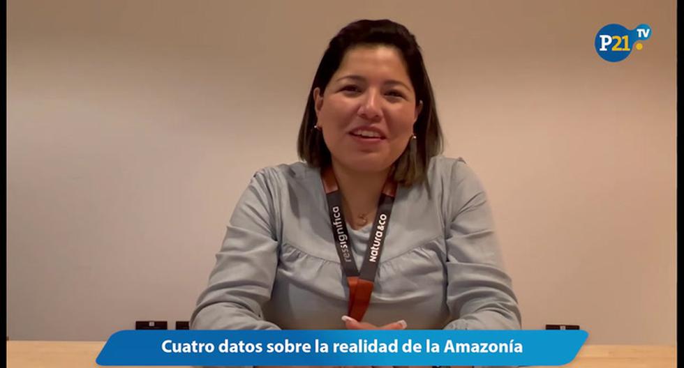 Four facts about the reality of the Amazon