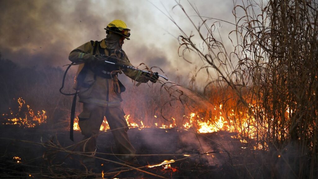 Four forest fires remain active in Córdoba