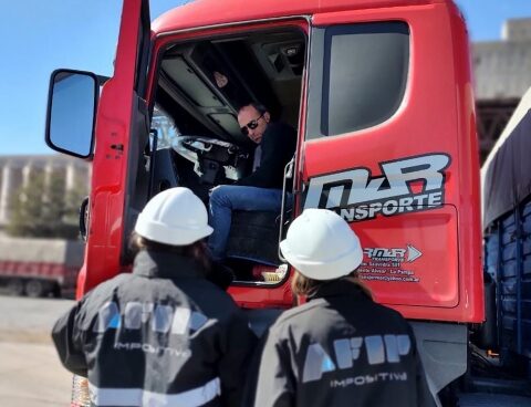 Fraud in the grain trade: AFIP dismantled maneuvers for more than 53,000 tons