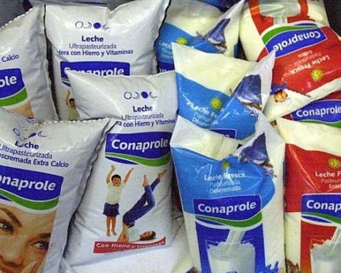 Government increases the price of pasteurized milk by 3.60 pesos