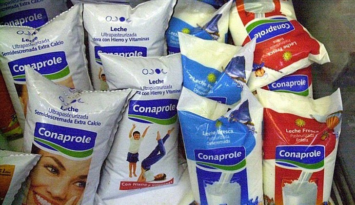 Government increases the price of pasteurized milk by 3.60 pesos