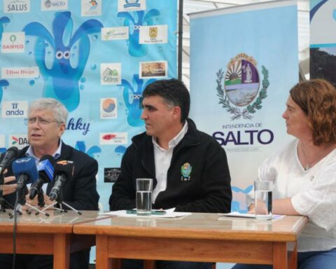 Government studies support with special credits for domestic tourism operators