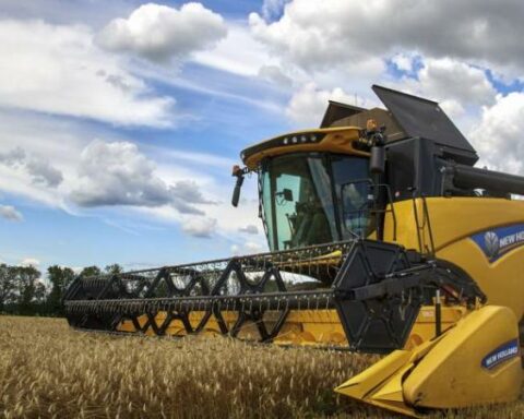 Government will buy fertilizers abroad and subsidize them