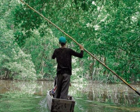 How could biodiversity be a product in Colombia?