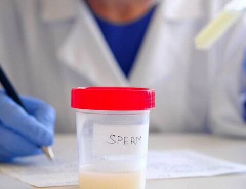 In France, people conceived through donation will be able to know their origin