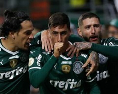 Leader Palmeiras defeats champion Mineiro