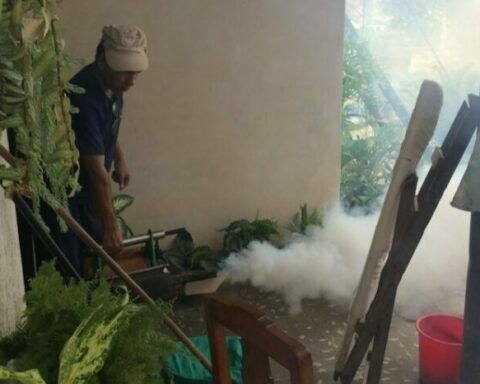 dengue, cuba, MINSAP