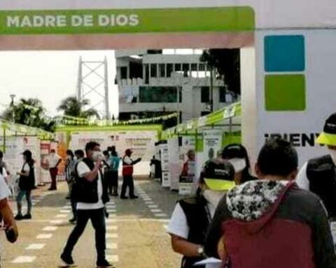 Madre de Dios: committee that brings together 58 glasses of milk from Tambopata was registered with Sunarp