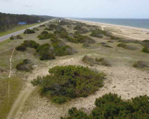 Maldonado authorized the construction of a private marina that will destroy dunes.  Collect signatures to stop it