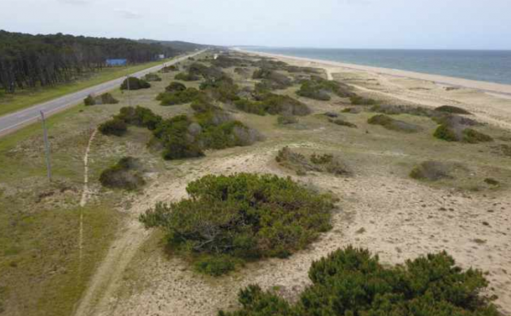 Maldonado authorized the construction of a private marina that will destroy dunes.  Collect signatures to stop it