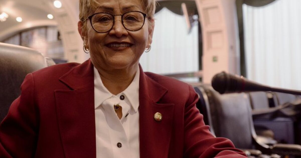 Martha Guerrero is chosen as the new leader of Morena in Edomex
