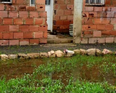 Máximo Romero Community denounces that they live between sewage and bad smell