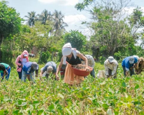 Minagricultura says that the situation in its portfolio is "critical": what does it ask for