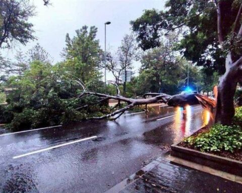 More than 200 flights canceled in the Canary Islands due to torrential rains